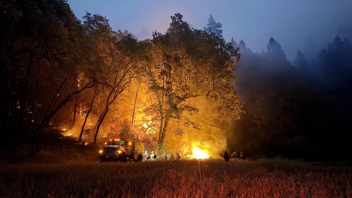 haileybranson's tweet card. At least four firefighters have been injured over the last week while battling three wildfires in Northern California forests that are burning amid extreme heat in steep, bone-dry terrain, fire...