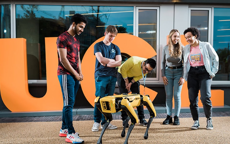 profgeraintrees's tweet card. UCL is delighted to support the UK Government’s new AI scholarship programme, that will see at least 100 students study at a top UK university, and gain further support and learning from leading