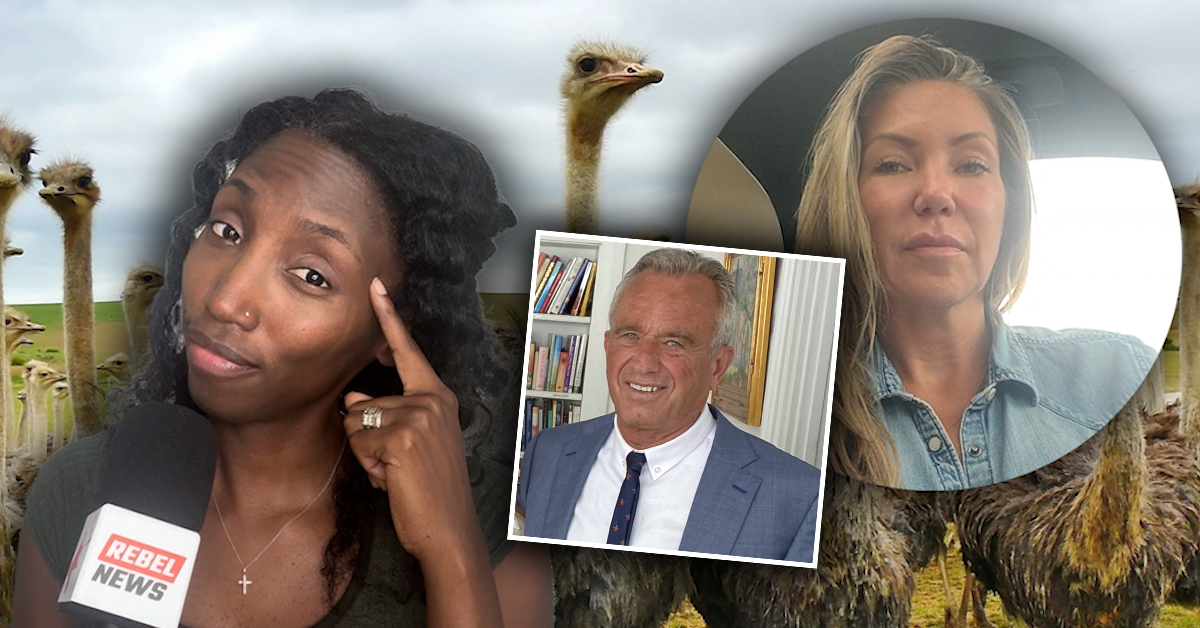 DreaHumphrey's tweet card. Katie Pasitney of Universal Ostrich Farms awaits a federal appeal court ruling on the Canadian Food Inspection Agency’s (CFIA) order to slaughter 400 ostriches in Edgewood, B.C., vowing to continue...