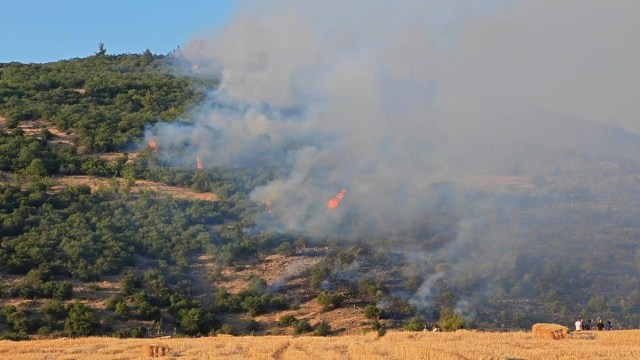 DirectRelief's tweet card. More than 50,000 people have been evacuated across five regions in Turkey due to wildfires, exacerbated by dry conditions and a heat wave blanketing multiple countries this week. Fires are impactin…