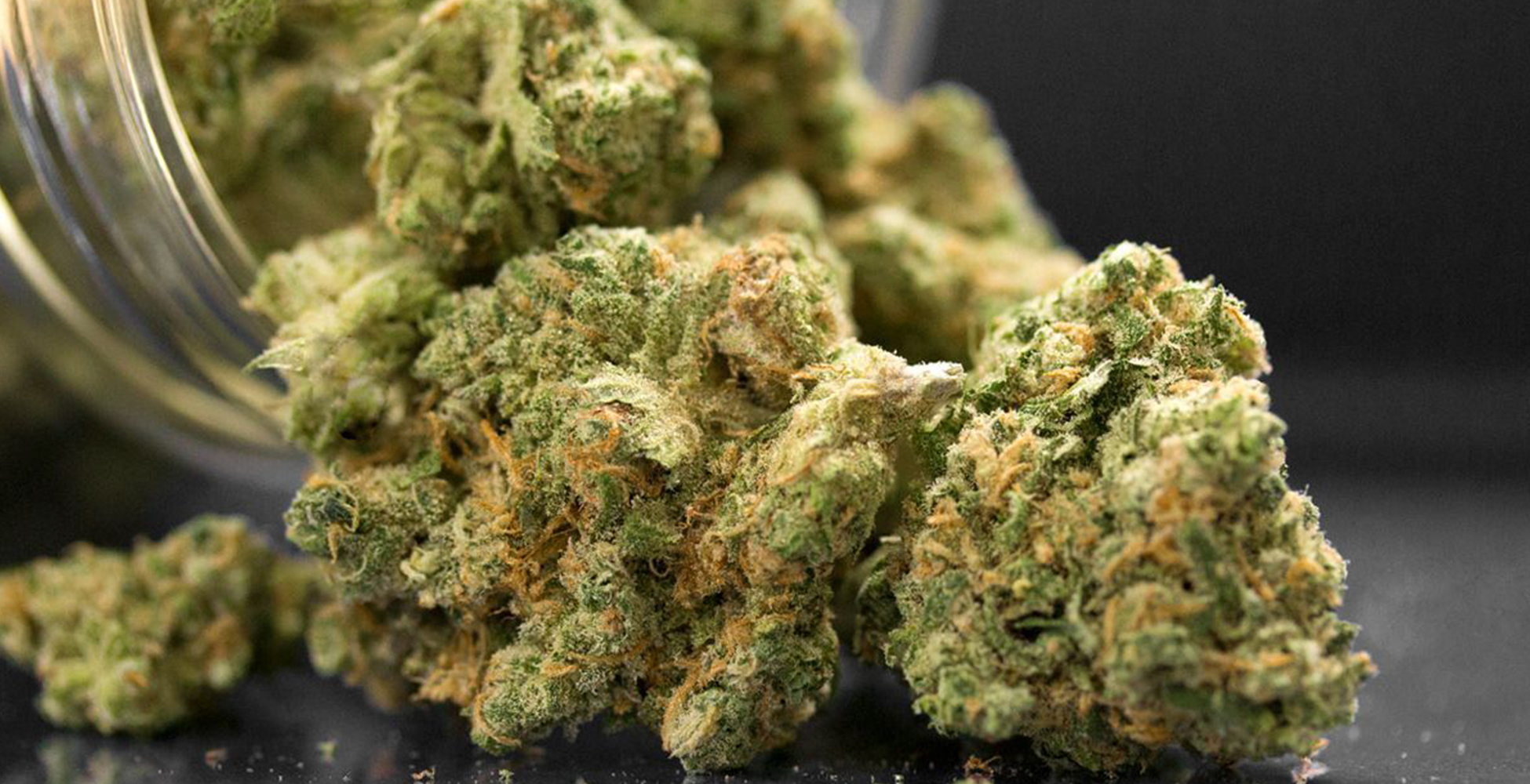QI_UCSD's tweet card. A new landmark survey of more than 5,000 Californians found that while over a third of Californians use cannabis and the majority use it for symptom relief, most do not consult with their doctor for...
