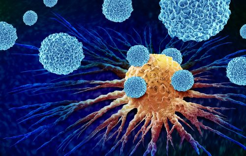 oncopole's tweet card. L’équipe du Dr Veillette a découvert que le blocage de la molécule CD200R1 chez la souris permet d’activer les macrophages, favorisant l’élimination de cancers du sang de son organisme.