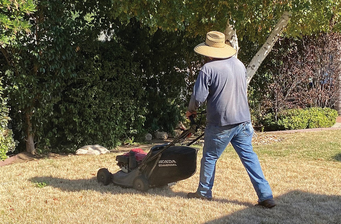 mwdh2o's tweet card. BAD MEMORY— A gardener mows a brown lawn in Agoura Hills during the water cutbacks that were mandated in the 2022 drought. Lawns could only be watered one day a week. Acorn file photo I am sure you...