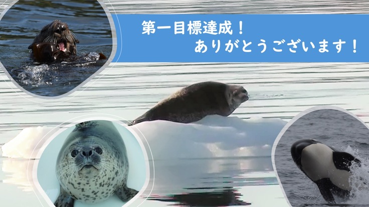 Kaiju_Han's tweet card. みなさまのご支援のおかげで，本プロジェクトを達成できました！本当にありがとうございます！！ 今回も達成できるのかどうか，とても不安でしたが，みなさまに応援いただいて，本当にありがたかったです． みなさまの応援コメントにも，海獣班一同，...