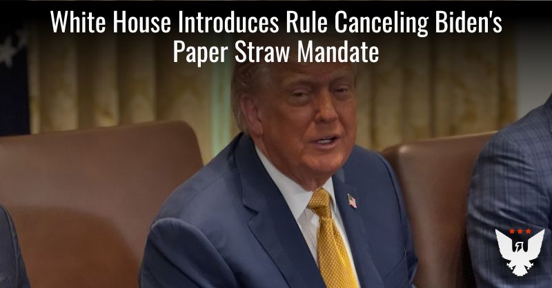 AmRenNet's tweet card. 'We're getting back to basics. Straws that work, an economy that works, a country that works,' Rhodes told the Federalist.