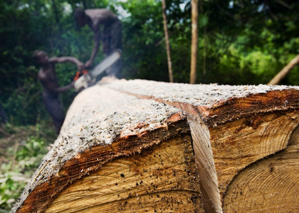 NatureCrimeAll's tweet card. Ghana and Malawi are the latest countries to join the Nature Crime Alliance to tackle illegal logging and wildlife trafficking