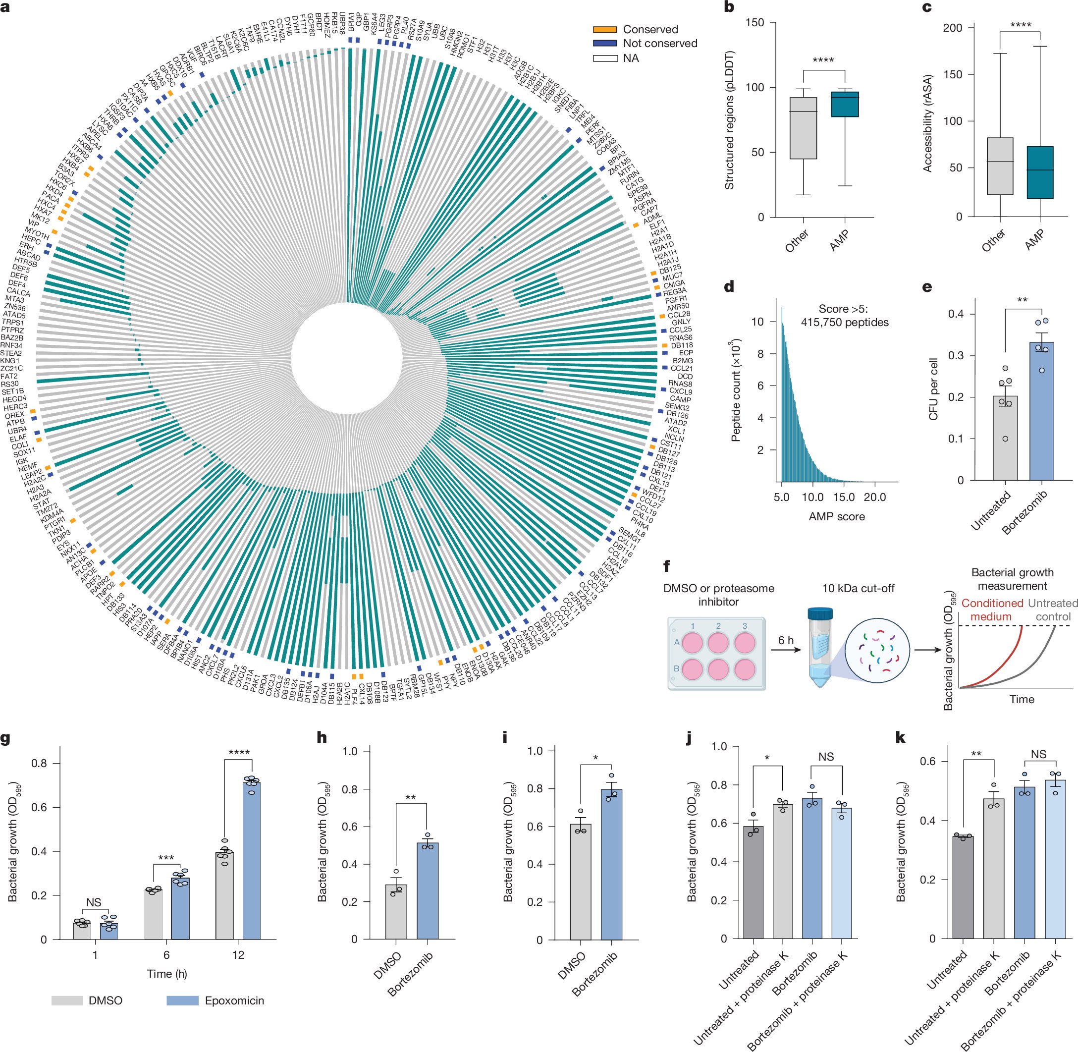 YMerbl's tweet card. Nature - Proteasomal degradation of cellular proteins generate defence peptides constitutively and in response to bacterial infection. Such peptides might provide a source of natural antibiotics...