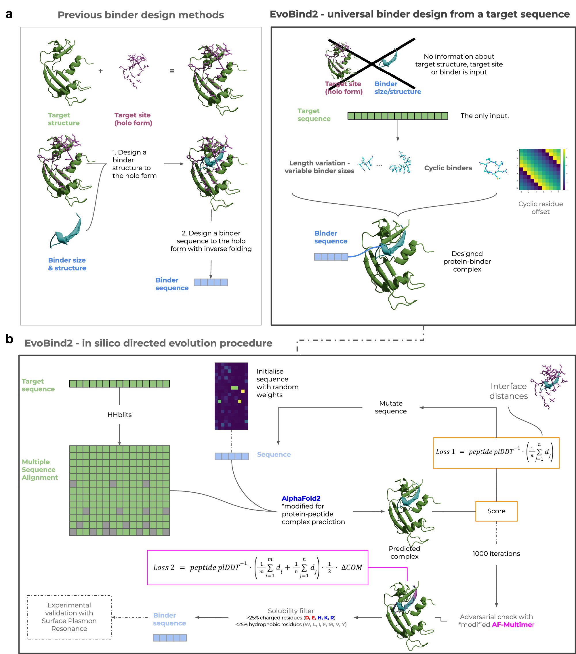 CommsChem's tweet card. Communications Chemistry - Shorter peptides are advantageous as protein binders, as they offer high-affinity binding to a diverse set of targets and lower manufacturing costs, but their flexibility...