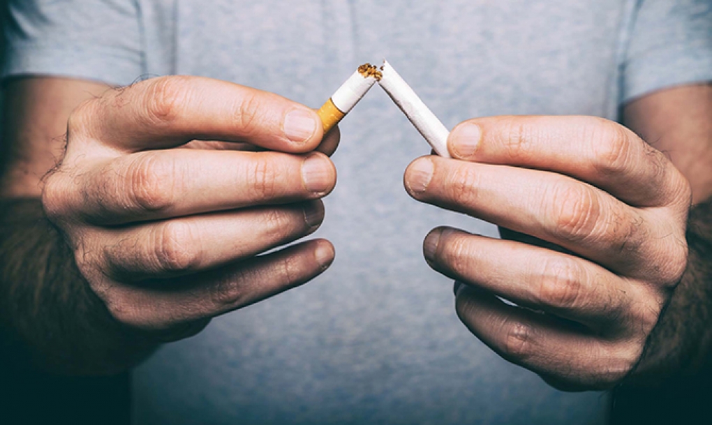 FOCorg's tweet card. Con motivo del Día Mundial Sin Tabaco que se celebra hoy la Sociedad Española de Oncología Médica (SEOM), además de apoyar la inclusión de nuevos espacios libres de humo en la reforma de la Ley del...