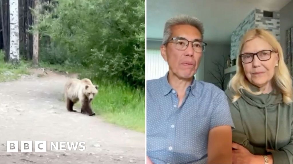 f0steralex's tweet card. The pair were on a wedding anniversary hike in the Kananaskis Country area, where both black and grizzly bears are common.
