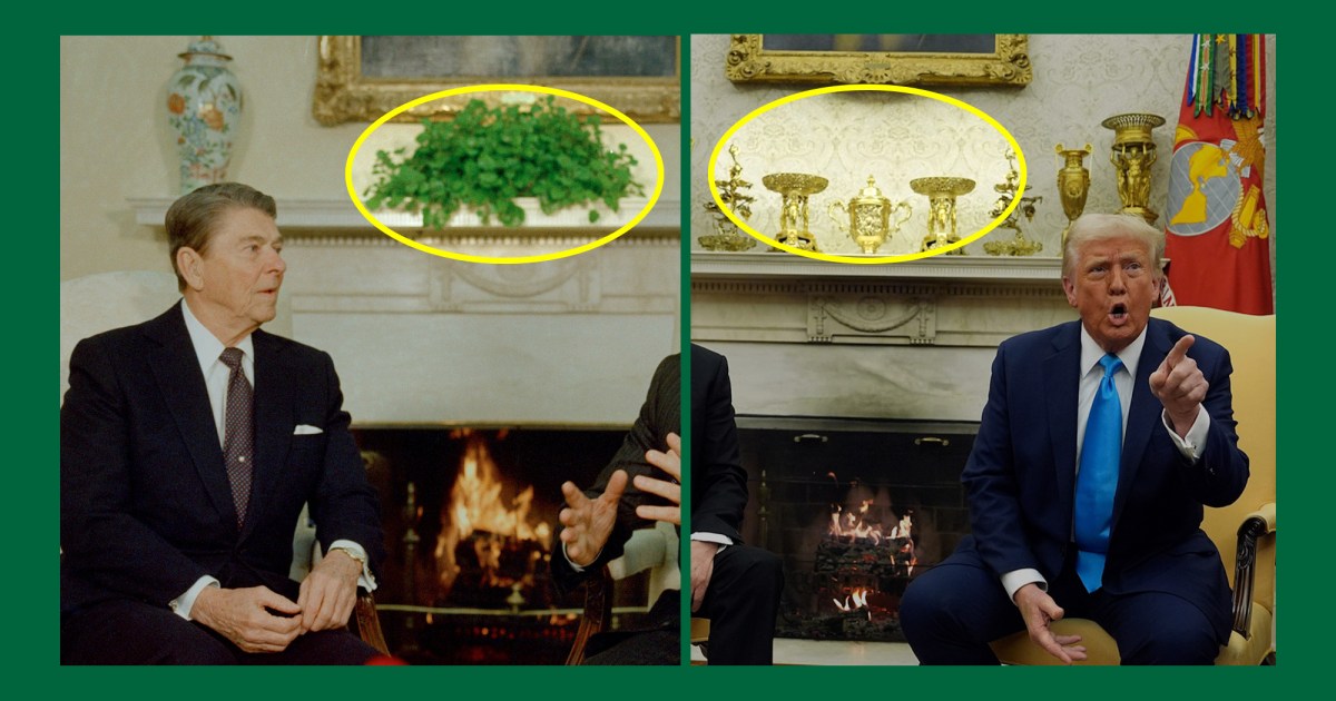 ErikWemple's tweet card. The Oval Office Swedish Ivy was a gift to John F. Kennedy.