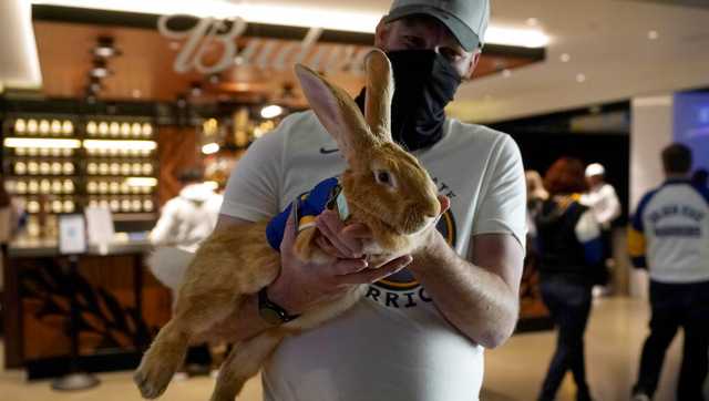 wyffnews4's tweet card. The bunny provided snuggles and comfort from ballparks to NBA arenas, airports, farmers markets and even egg hunts and NASCAR races, has died