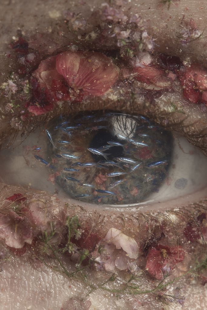 VailaMy2's tweet card. Eye Swam I swam, I swam so far away, through currents curled like coils of thought, where petals spun and vision frayed, and silence followed all I caught...