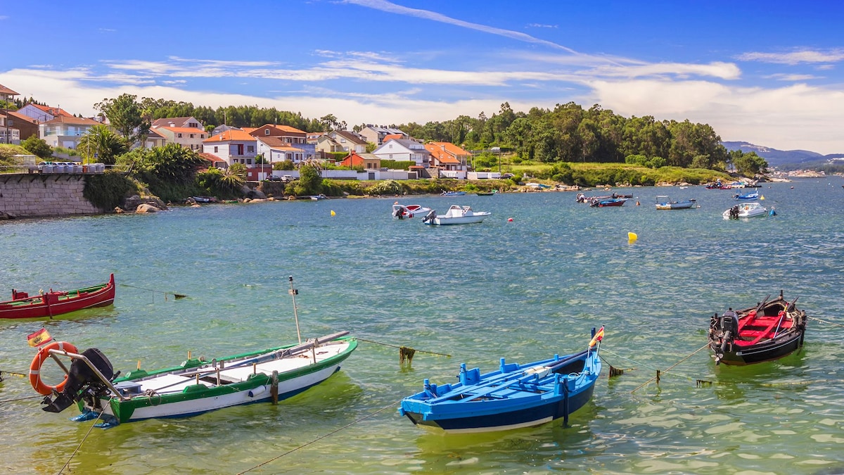 ava477's tweet card. PONTEVEDRA