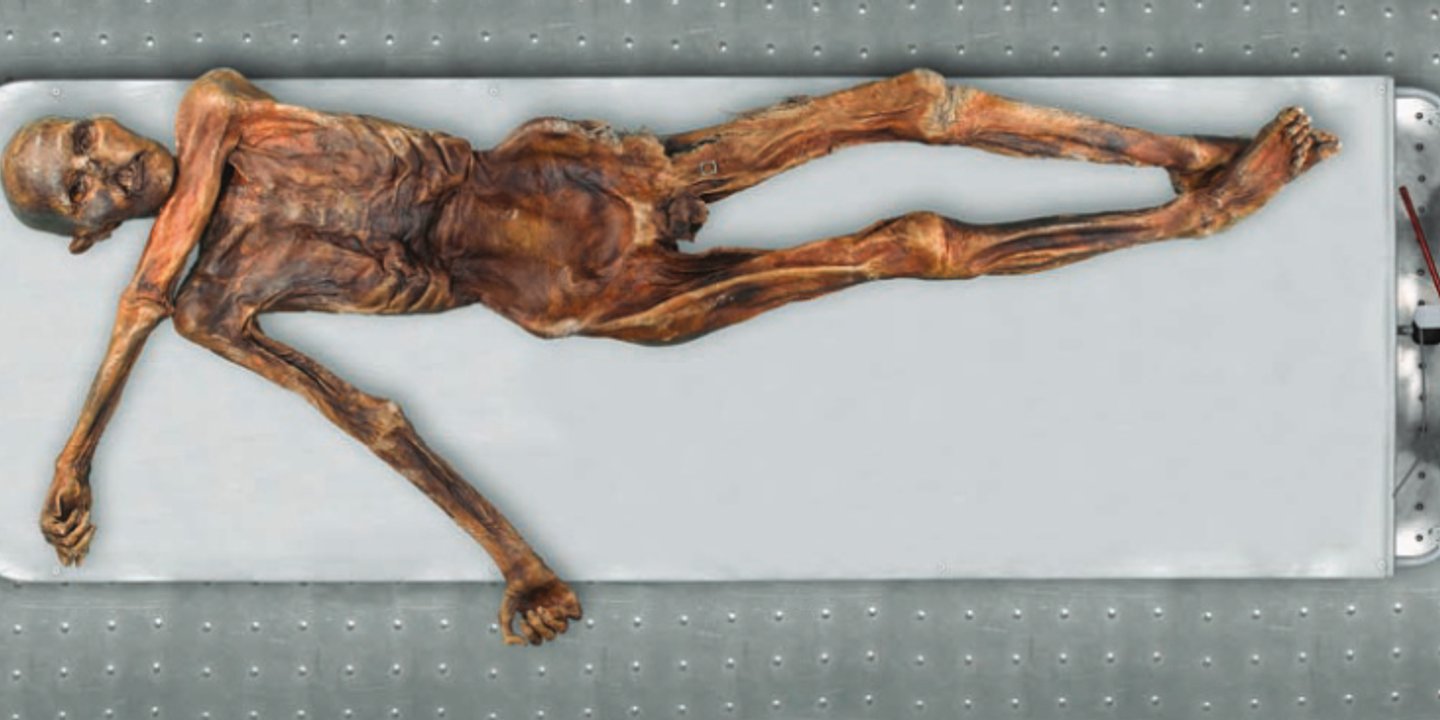 GuimonnetCh's tweet card. Retrouvé en 1991 dans les Alpes italiennes, le corps d’Ötzi fascine. Grâce à des reconstructions 3D et des animations virtuelles du corps, une enquête médico-légale éclaire d’un jour nouveau les...