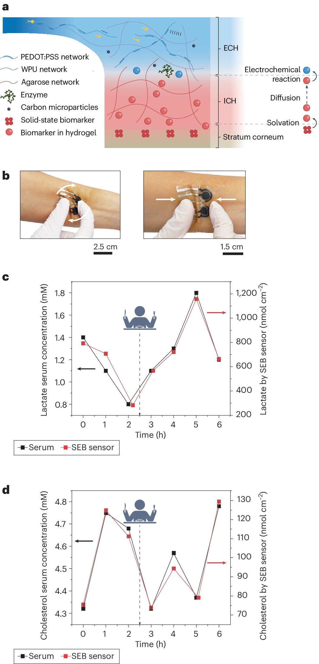 XugroupUCSD's tweet card. Nature Materials - A bilayer hydrogel sensor is presented for continuous monitoring of solid epidermal biomarkers on human skin.