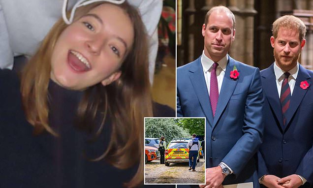 DailyMail's tweet card. The Durham University student was found dead at home in Wiltshire by her family at the age of just 20.