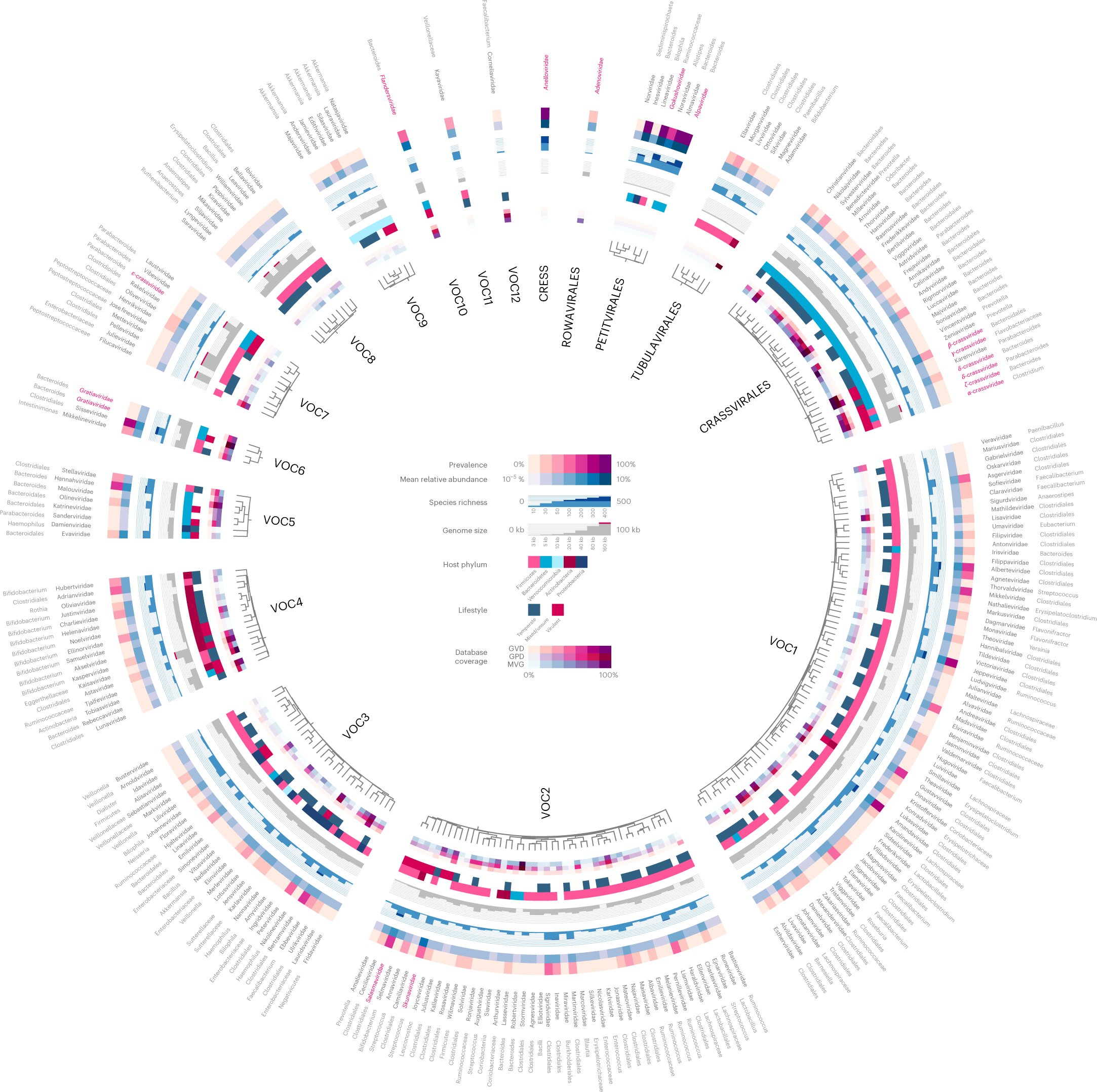 TCrispr's tweet card. Nature Microbiology - Faecal viromes of 647 healthy infants were deeply sequenced to identify more than 230 previously undescribed gut virus families, expanding known diversity within the human...