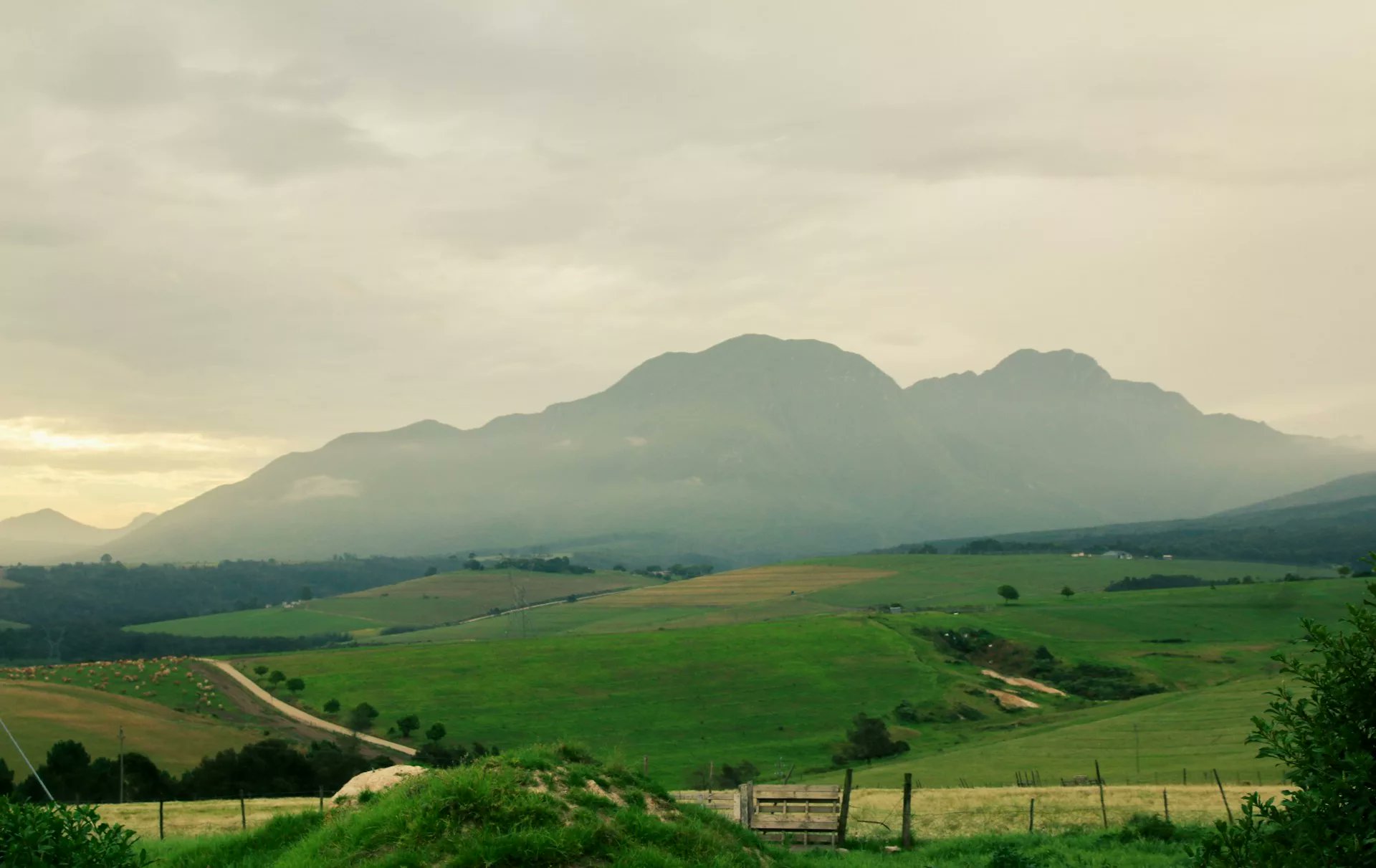 GetawayMagazine's tweet card. George could soon be home to a new international convention centre, as the Western Cape explores MICE potential along the Garden Route.