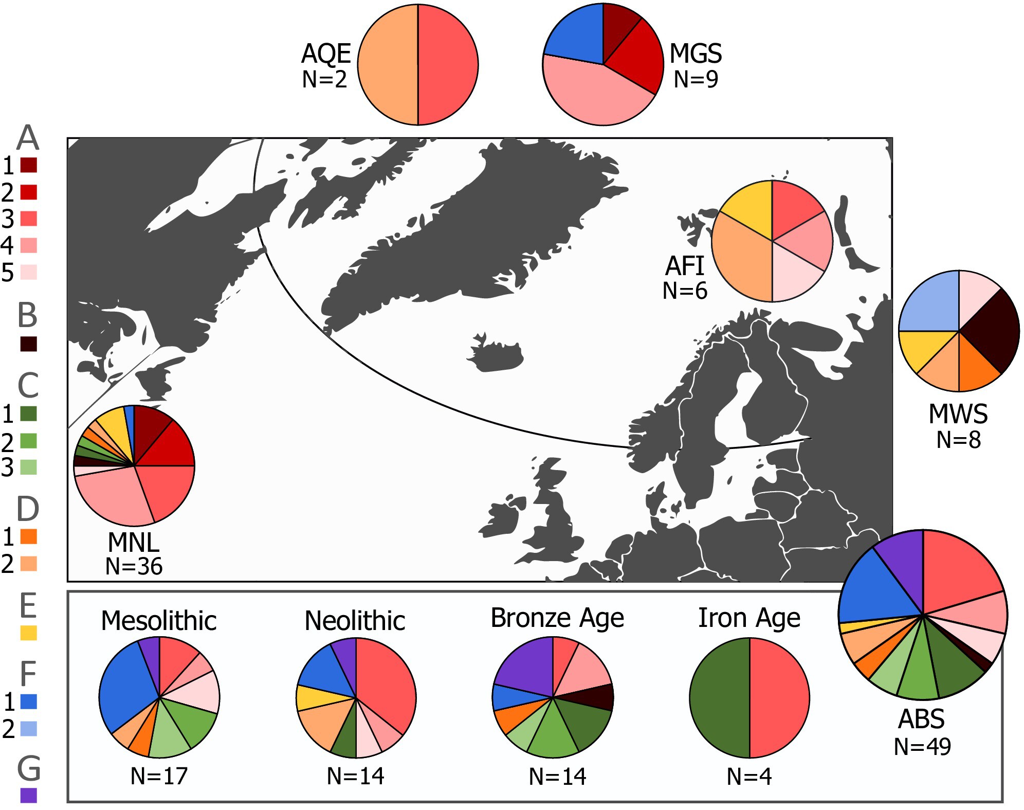 spaam_community's tweet card. The figure exhibits the spatiotemporal distribution of harp seal mitogenome clades, showing temporal changes in ancient Baltic Sea populations and spatial differences among modern populations from...