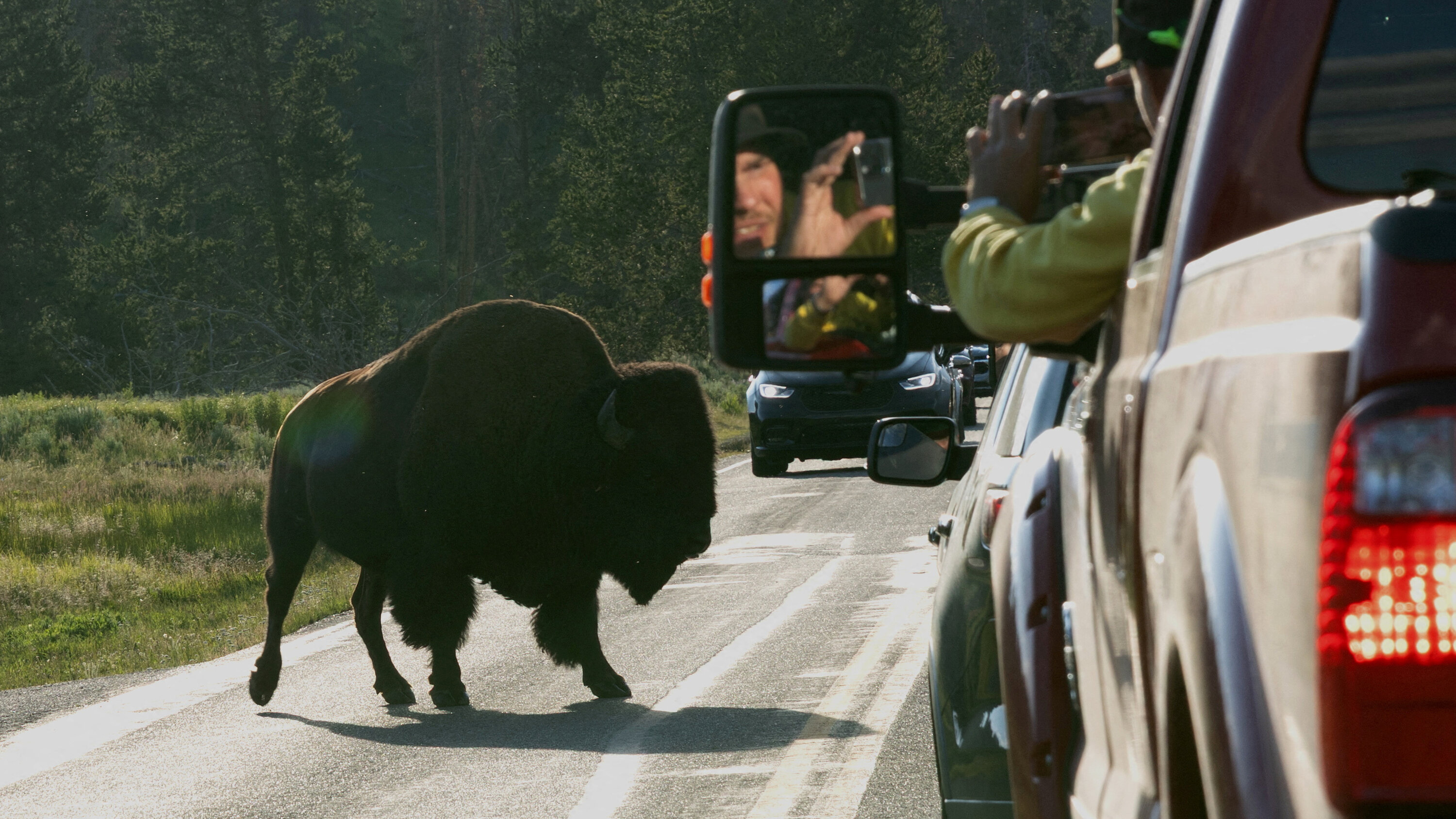 InteractiveFeed's tweet card. That bison may be huge, but it can run a lot faster than you think. Test how much you know about staying safe around animals like bears, alligators and, yes, bison.