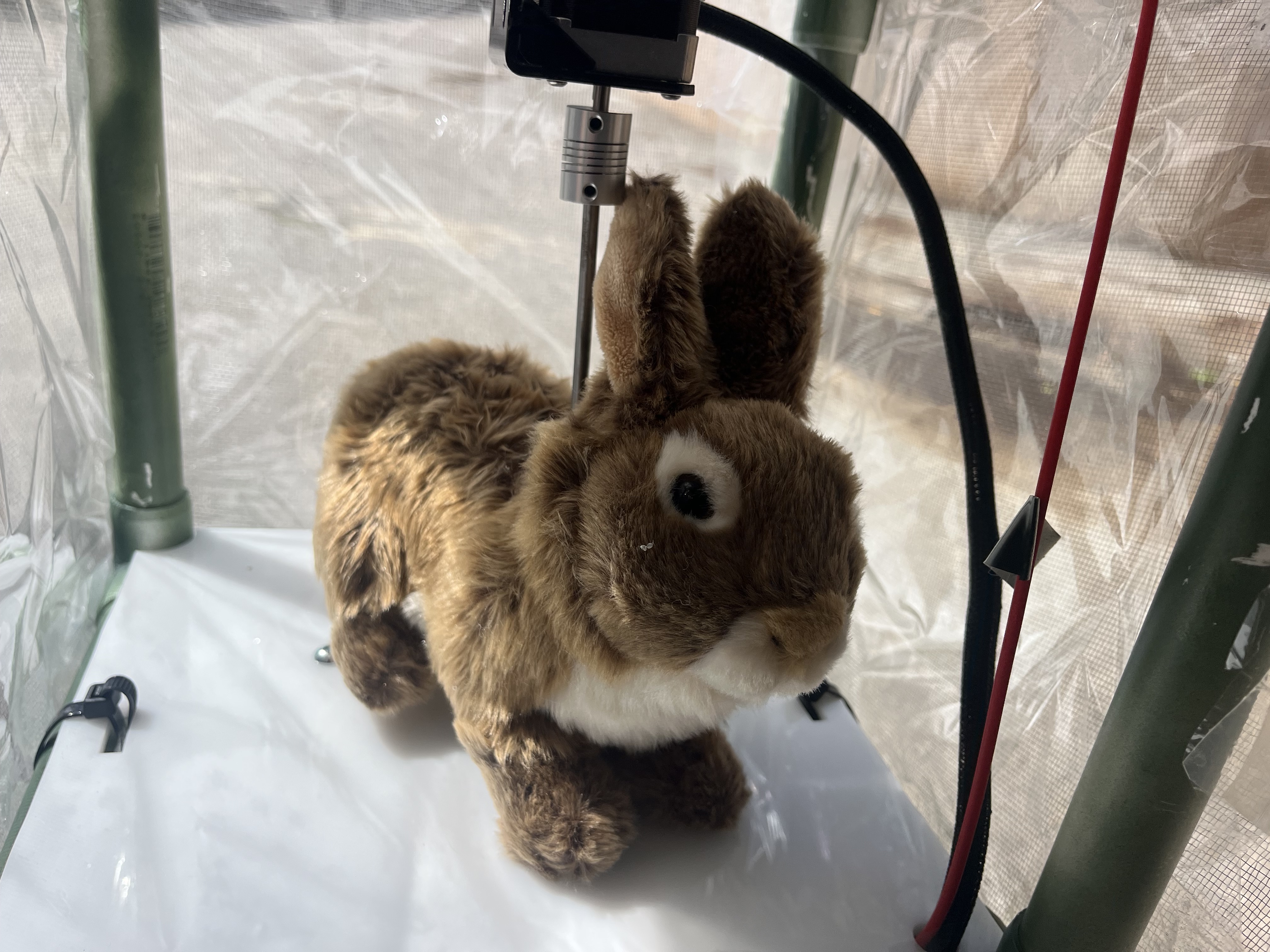Joe_S_Pure's tweet card. Scientists are experimenting with robotic rabbits in hopes of luring the destructive snakes out of hiding so they can be euthanized
