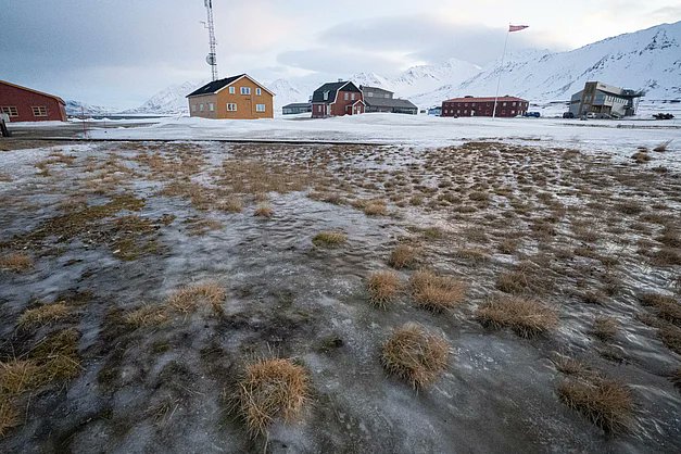 EliotJacobson's tweet card. Arctic winters, particularly in Svalbard, are undergoing a significant transformation due to recurrent warming driven by human-induced climate change. February 2025 saw temperatures much higher than...