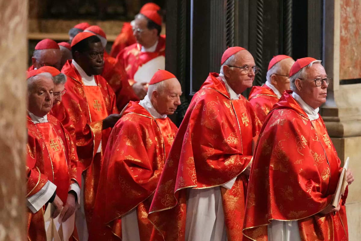 RichardDawkins's tweet card. The death of the good pope Francis focuses attention on the historic procedure by which the Roman church elects its leader. The College of Cardinals reminds me of the US Electoral College and a point...