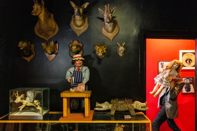 CuriosMuseum's tweet card. The two people to blame for my interest in the strange are probably my parents: my mum for bringing me to the dead zoo all the time when I was a kid, and m...