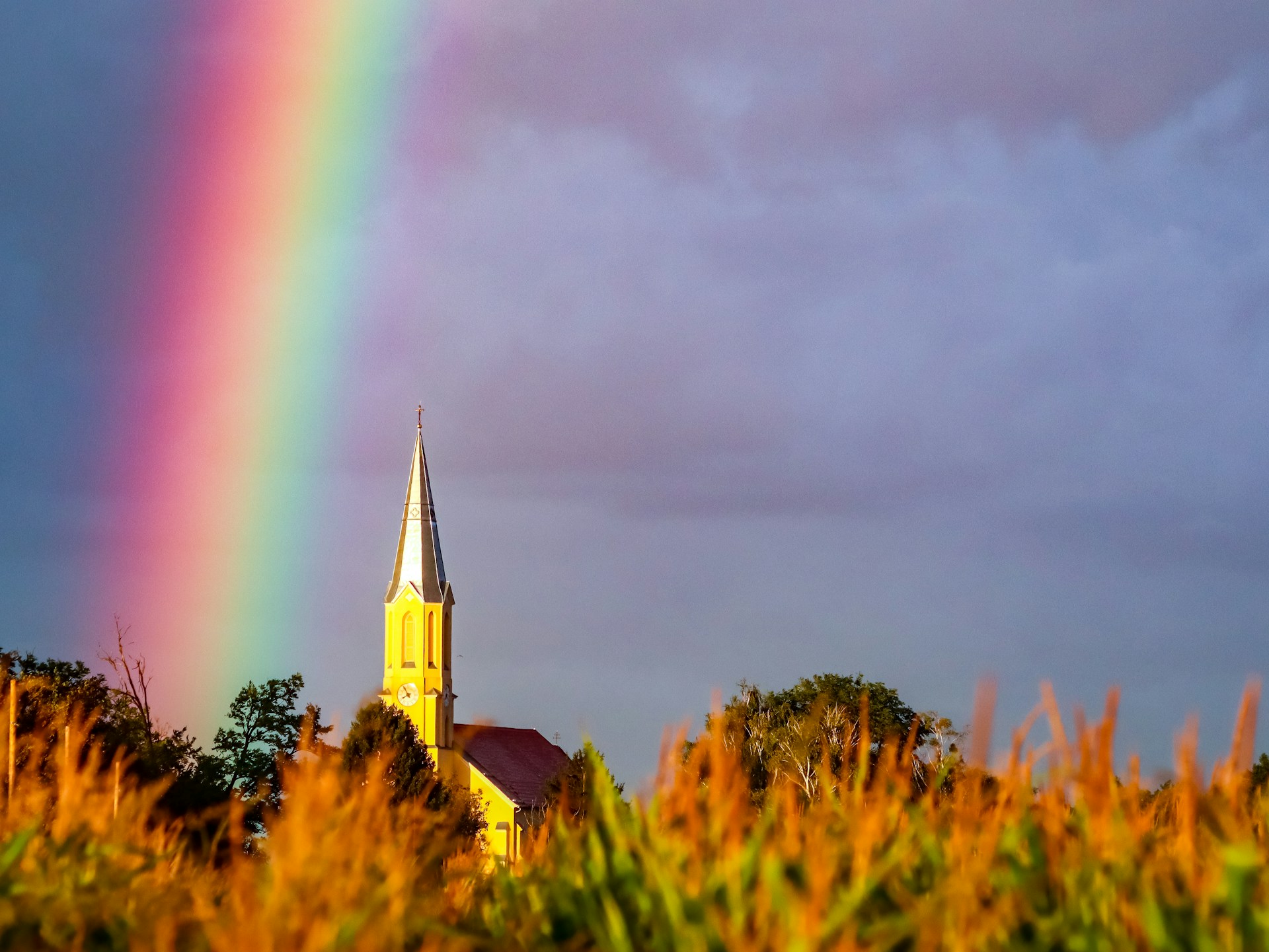 sitsio's tweet card. the Central Committee of German Catholics published a pamphlet titled, “Blessings Strengthen Love. Blessings for Couples Who Love Each Other.”