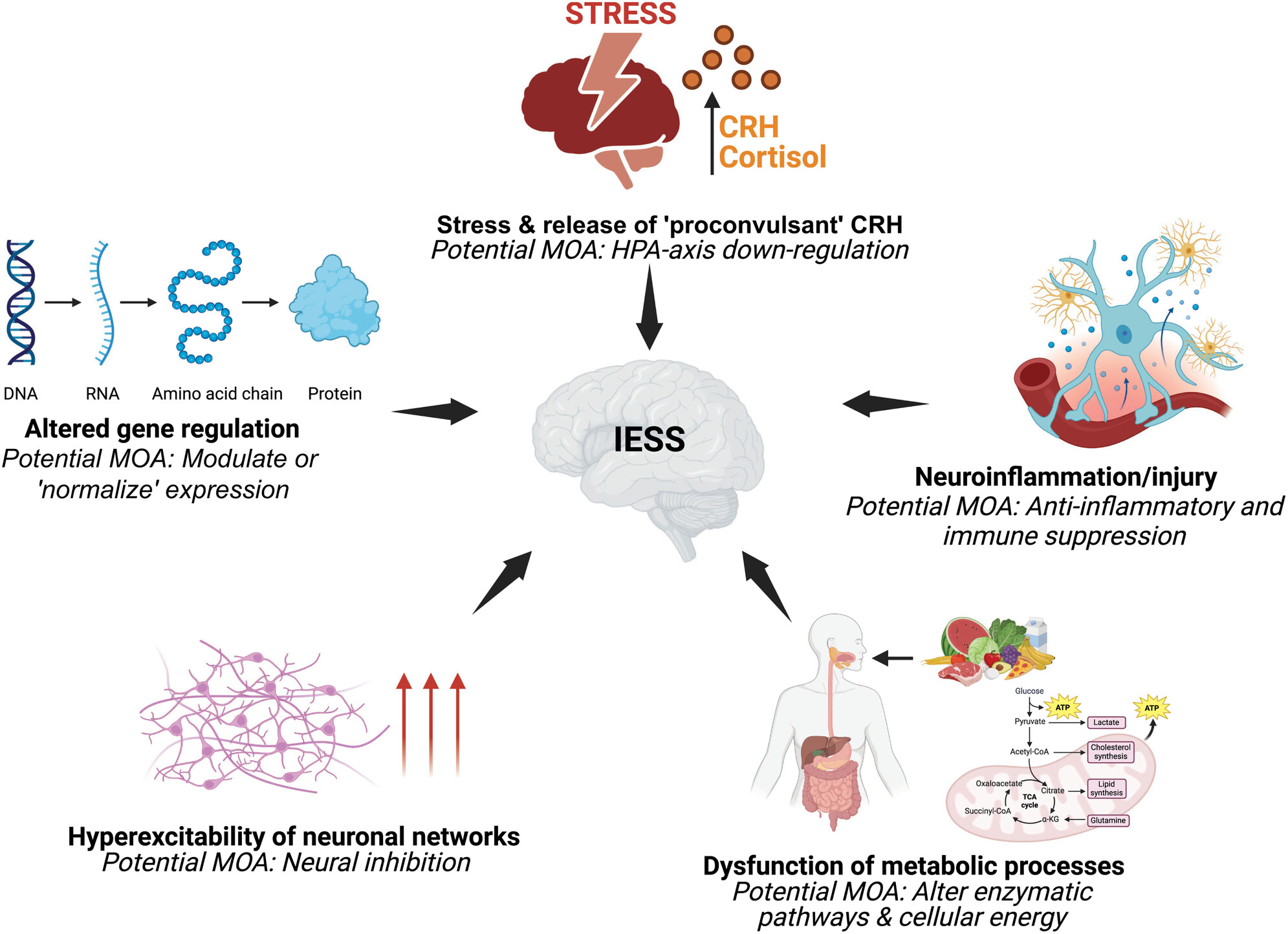 mackeithpress's tweet card. Why does infantile epileptic spasms syndrome (IESS) occur with a variety of underlying conditions and why does it respond to adrenocorticotrophin hormone (ACTH)/corticosteroids? Our scoping review...