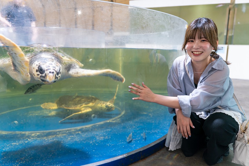 newyashimaaq's tweet card. 新屋島水族館のリニューアル工事にともない、その生きものたちを展示する「市場水族館」が意外に楽しい！ オープンから1か月経って少し落ち着いた頃合いを見計らってお邪魔してきました。   2027年春頃までリニューアル工事中のため休館している新屋島水族館。それにともない、その生きものたちを展示する場所として整備された「市場水族館」が、高松市中央卸売市場の旧青果棟に5月3日オープンしました。...