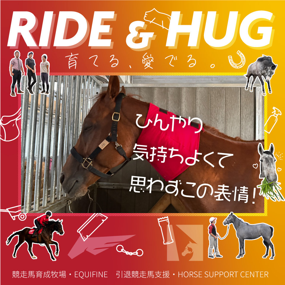 EQUIFINE2024's tweet card. 「馬づくりを通じた社会貢献を」をスローガンに掲げて育成牧場を運営する、株式会社EQUIFINE。そして同社スタッフたちが「引退競走馬の価値創造と終生飼養」を目指した活動を続ける、一般社団法人ホースサポートセンター。そんなホースマンたちが、日々真摯に馬と向き合う様子をお届けするブログです。こんにちは‪🔆‬EQUIFINEスタッフのもーりーです🌽普段はグランド兼、事務(初心者)を担当させて頂...