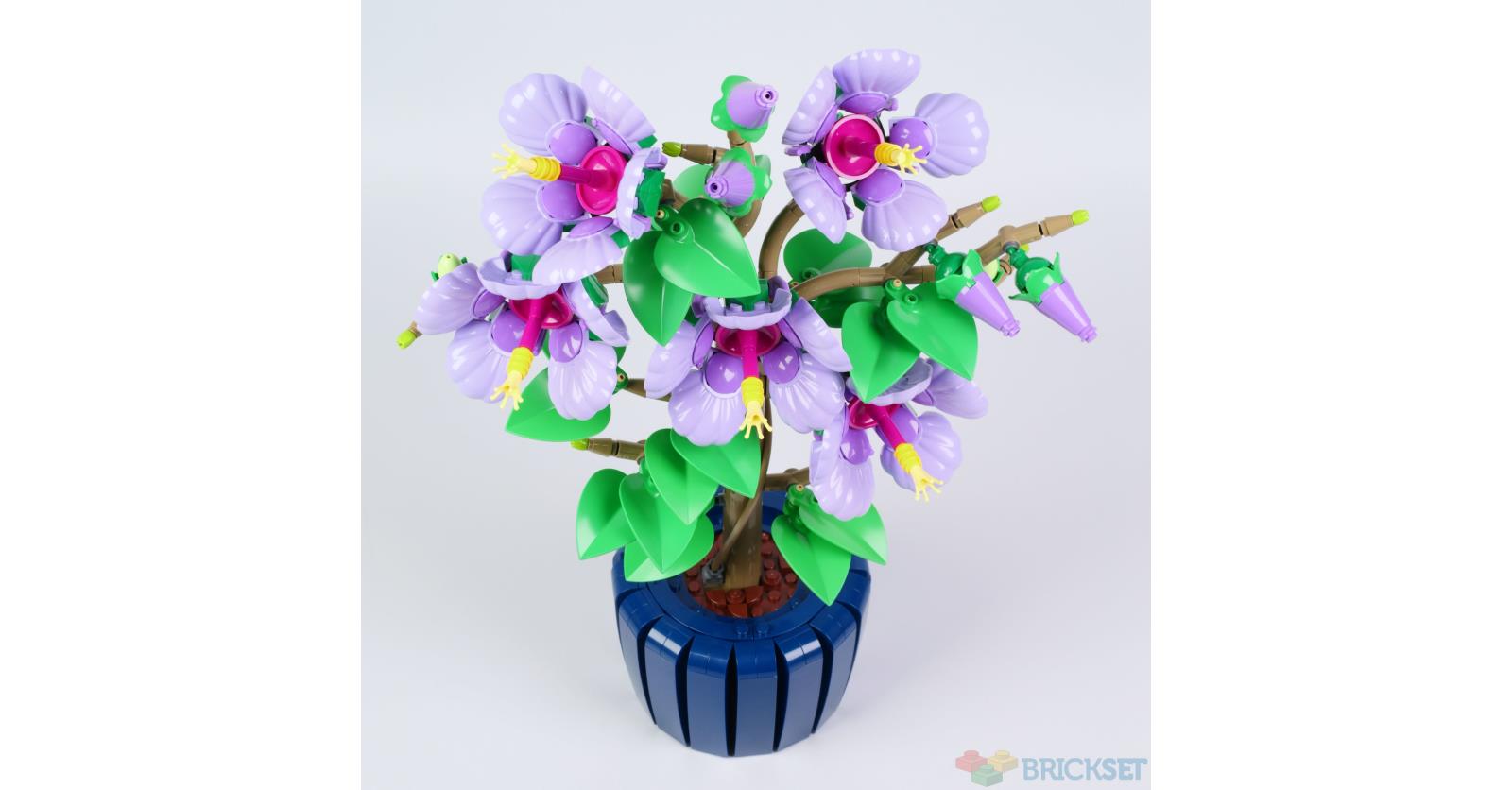 brickset's tweet card. Since botanical sets were split off from Icons to their own theme at the start of the year, we've enjoyed a barrage of brick-built blooms that shows no sign of abating.