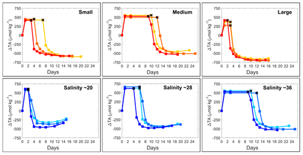 bach_lennart's tweet card. Abstract. Understanding the impacts that mineral grain size and seawater salinity have on magnesium hydroxide (Mg(OH)2) dissolution and secondary calcium carbonate (CaCO3) precipitation is critical...