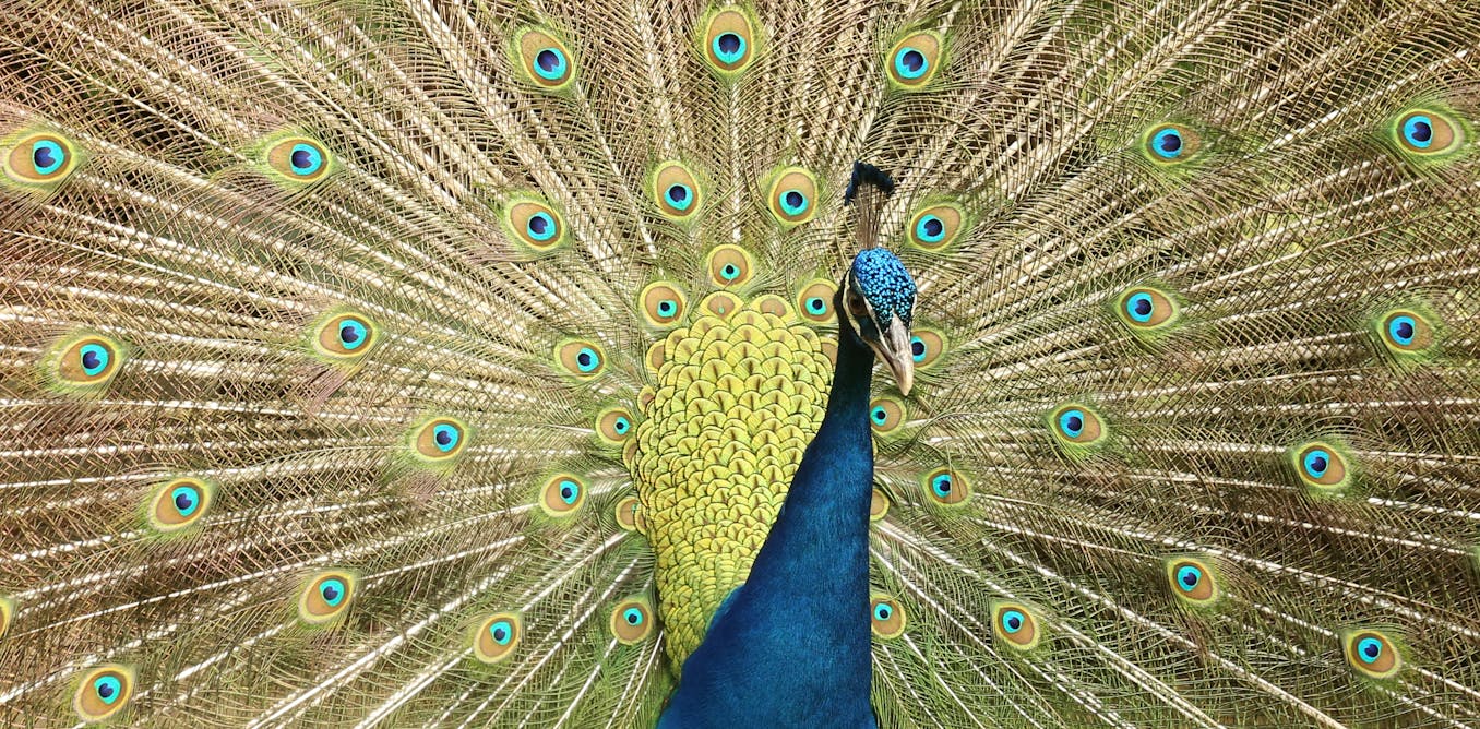 lunduniversity's tweet card. If evolution had taken a different turn, nature would be missing some colours.