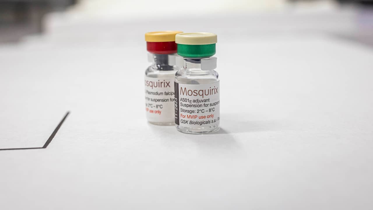 OneHealthEnto's tweet card. Kameroen heeft als eerste Afrikaanse land het malariavaccin Mosquirix ontvangen. Op het vliegveld van hoofdstad Yaoundé zijn dinsdagavond meer dan 331.000 doses aangekomen. De eerste vaccinaties...