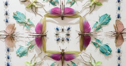 pupating's tweet card. Learn to appreciate insects, with guidance from a local artist, an entomologist, a bumblebee expert and more.