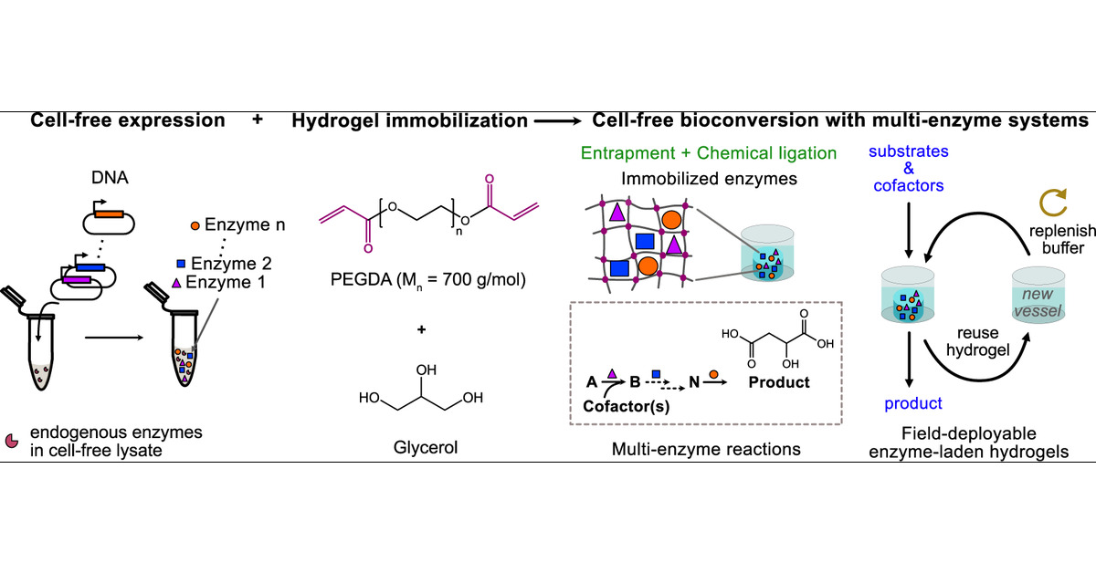 O_Borkowski's tweet card. Cell-free gene expression systems derived from bacterial lysates enable the expression of biosynthetic pathways from inexpensive and easily prepared DNA templates. These systems hold great promise...