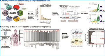 RNASeqBlog's tweet card. ExpressRM - multimodal zero-shot learning of previously unseen epitranscriptomes from RNA-seq data