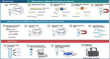 RNASeqBlog's tweet card. A new protocol enables RNA sequencing of Mycobacterium tuberculosis using small culture volumes, helping researchers study gene expression changes in response to drug exposure...