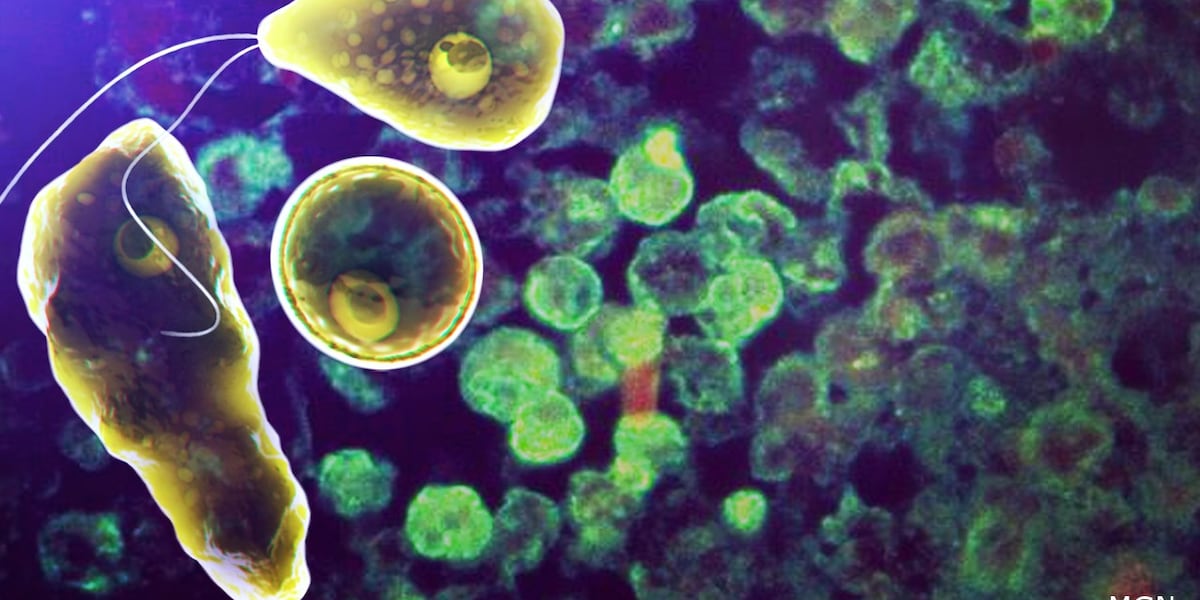 foxcarolinanews's tweet card. Experts in the Midlands and across the state weighed in Tuesday after officials confirmed a deadly case involving a brain-eating amoeba in South Carolina.