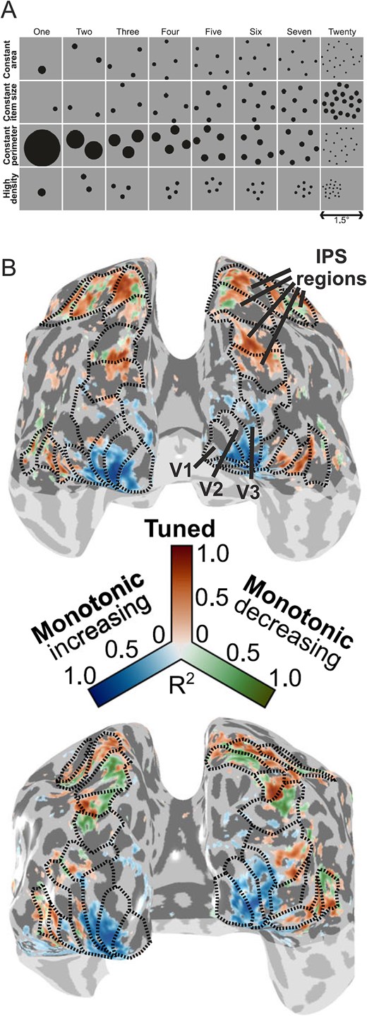 MillerLabMIT's tweet card. Abstract. Numerosity estimation refers to the ability to perceive and estimate quantities without explicit counting, a skill crucial for both human and ani
