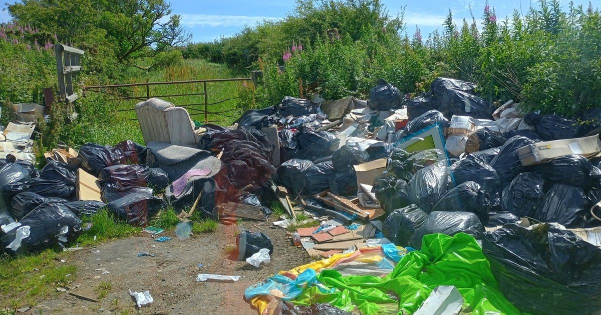 EKilbrideNews's tweet card. The illegal waste in the East Kilbride countryside includes bags of compost, remains of cannabis plants and other drug paraphernalia.