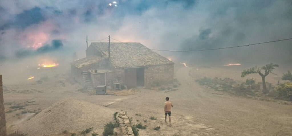Nathan_Muir72's tweet card. Fa tot just una setmana, Joan Marquilles treballava a Barcelona quan va rebre una trucada dels seus pares. L’informaven que hi havia un incendi a Coscó (Noguera). La terra que fa set generacions que...