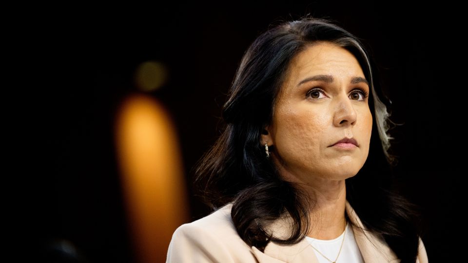 jeffsiegel's tweet card. Director of National Intelligence Tulsi Gabbard declassified and released new intelligence documents Friday that she claimed were evidence of a “treasonous conspiracy” by top Obama administration...