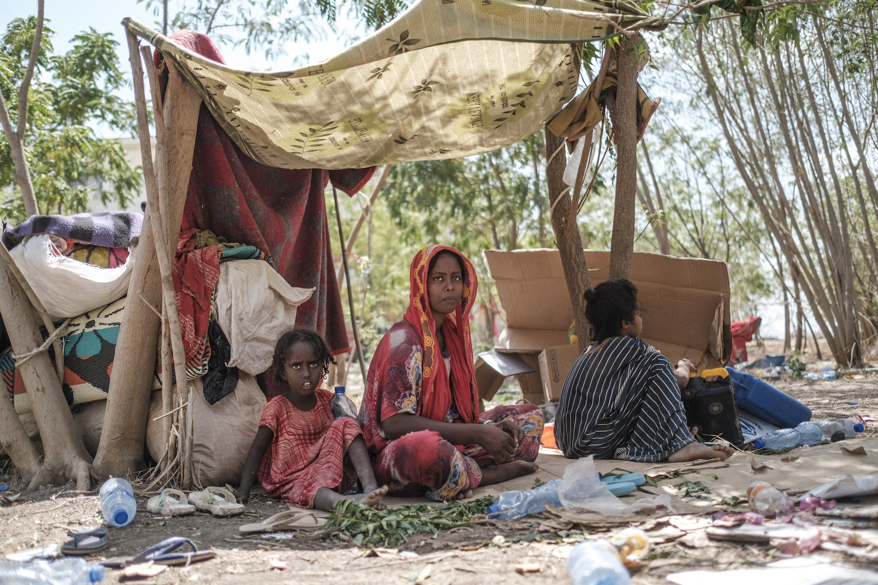 ACPreventionTDL's tweet card. Report says Ethiopia and allies had ‘intent to destroy Tigrayans as an ethnic group’ and calls for prosecution at ICJ.