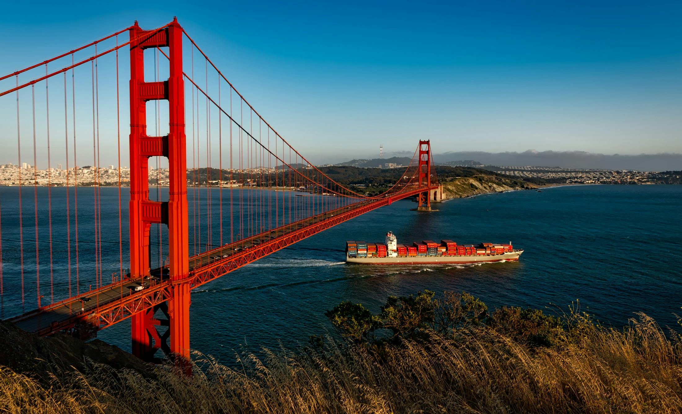 GeraldVenzl's tweet card. Oracle Database 23.8 Free multi-platform images are now available on container registries docker.io/gvenzl/oracle-free and ghcr.io/gvenzl/oracle-free. With this release, 23.6 im…