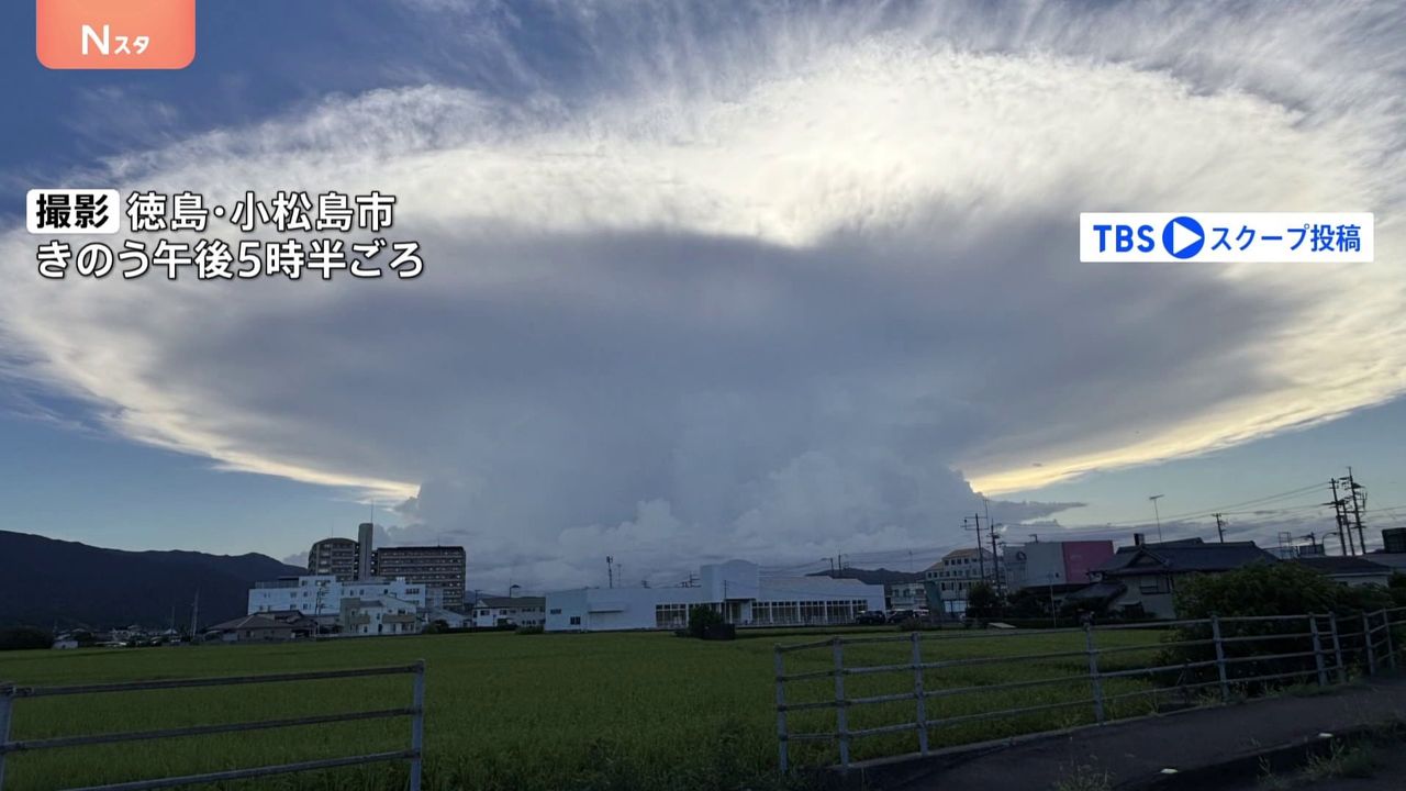 YahooNewsTopics's tweet card. 徳島県で“ナゾの巨大な雲”が出現。ラピュタ？ジャックと豆の木？果たして正体は？