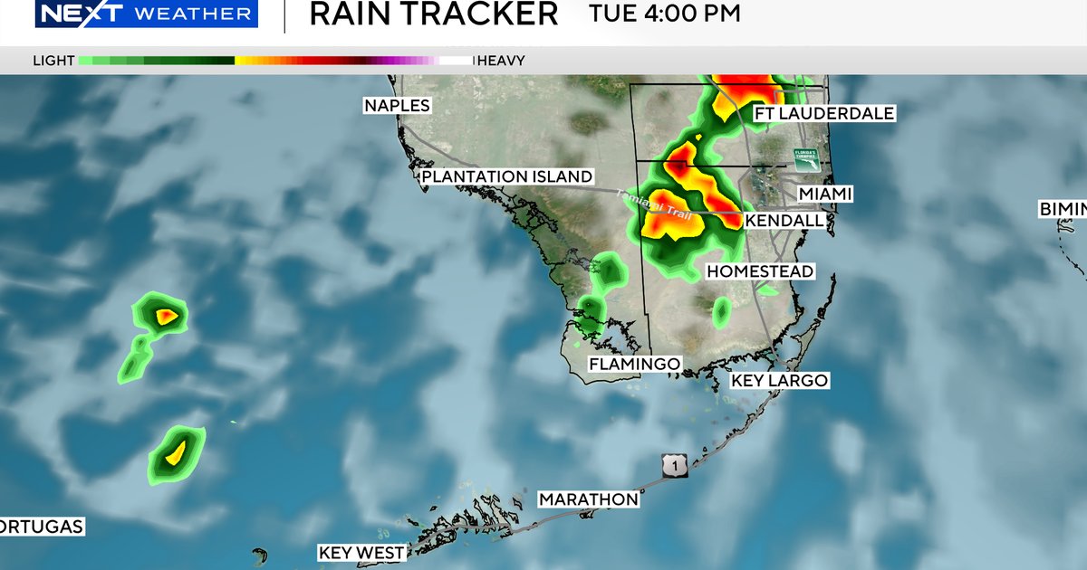 CBSMiami's tweet card. The rain returns over the next couple of days and brings some relief from the heat.